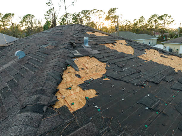 Best Sheet Metal Roofing  in North Charleroi, PA
